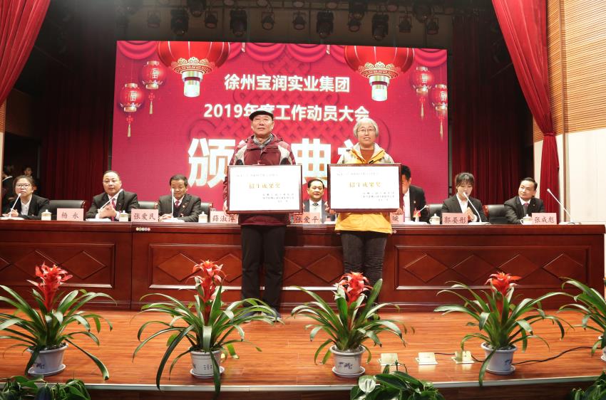乐动官方网站,乐动ledong(中国)2019年度工作动员大会---集团公司领导为先进单位和先进个人代表颁奖